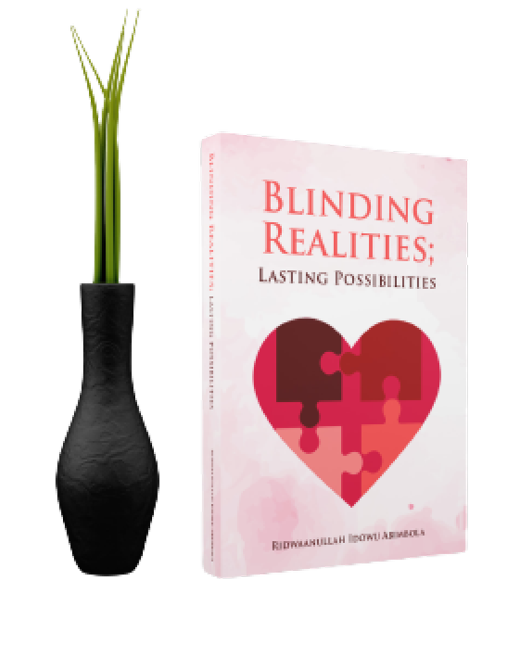 Blinding Realities Book Cover