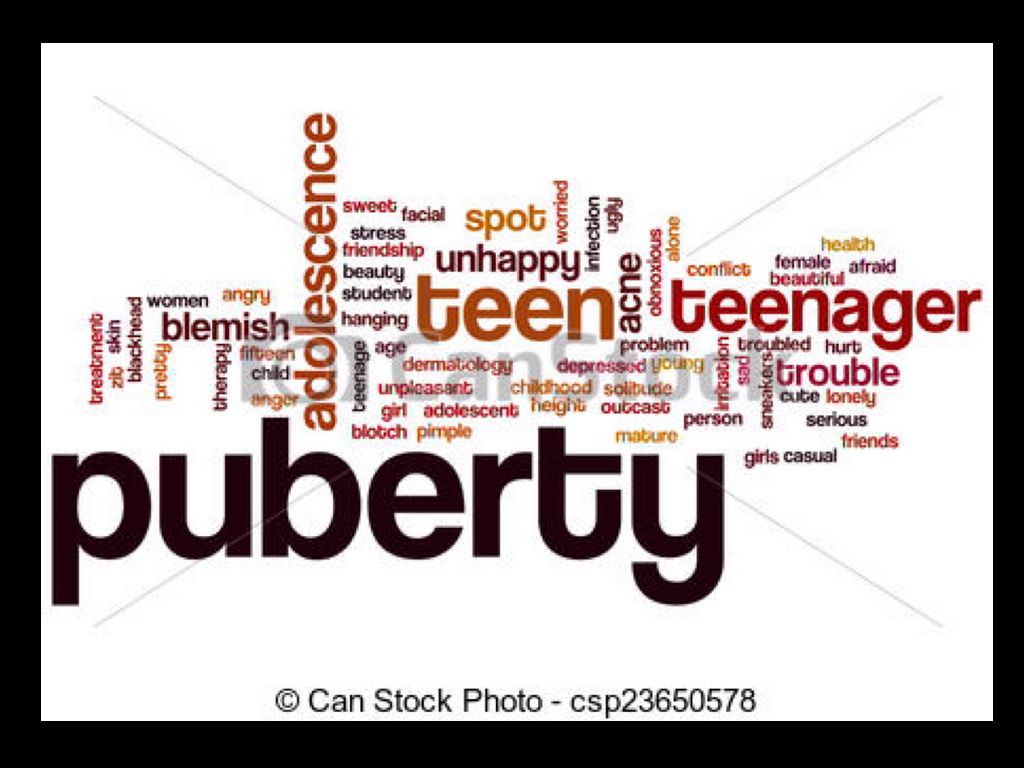 Puberty word art